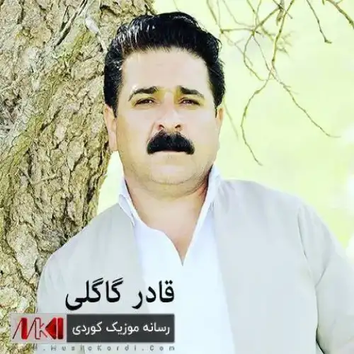 کالی هو کالی